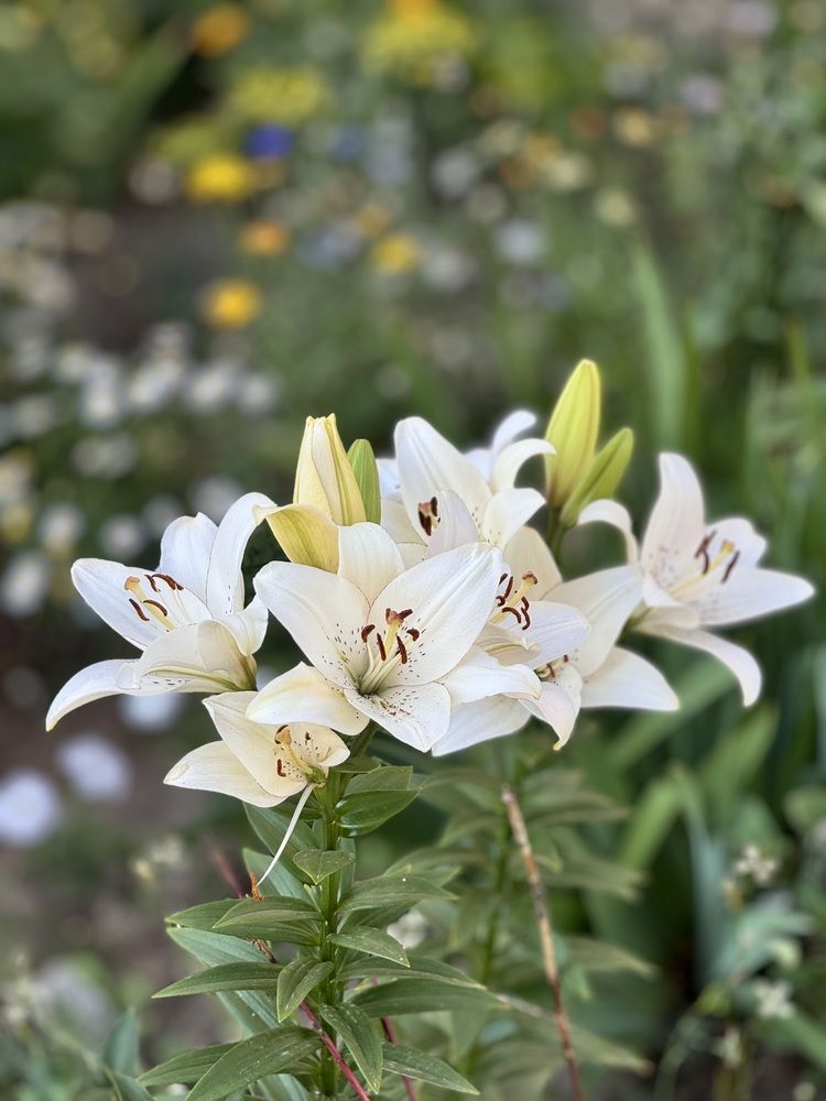 Photograph by Дмитрий Бобровский