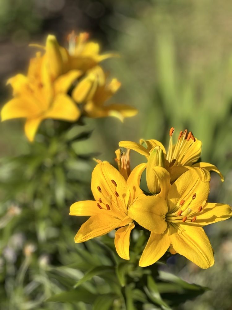 Photograph by Дмитрий Бобровский