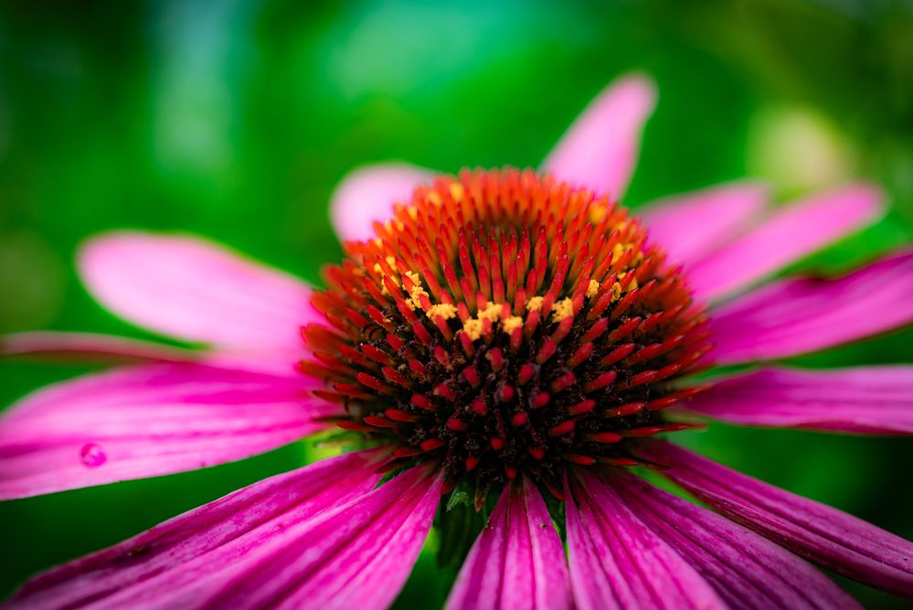 Фотография автора Mutsuaki