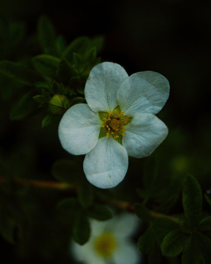 Photograph by Маргарита