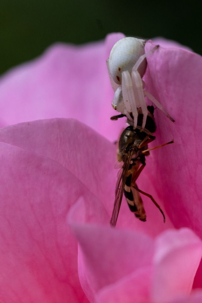 Photograph by Александр Стрельченко