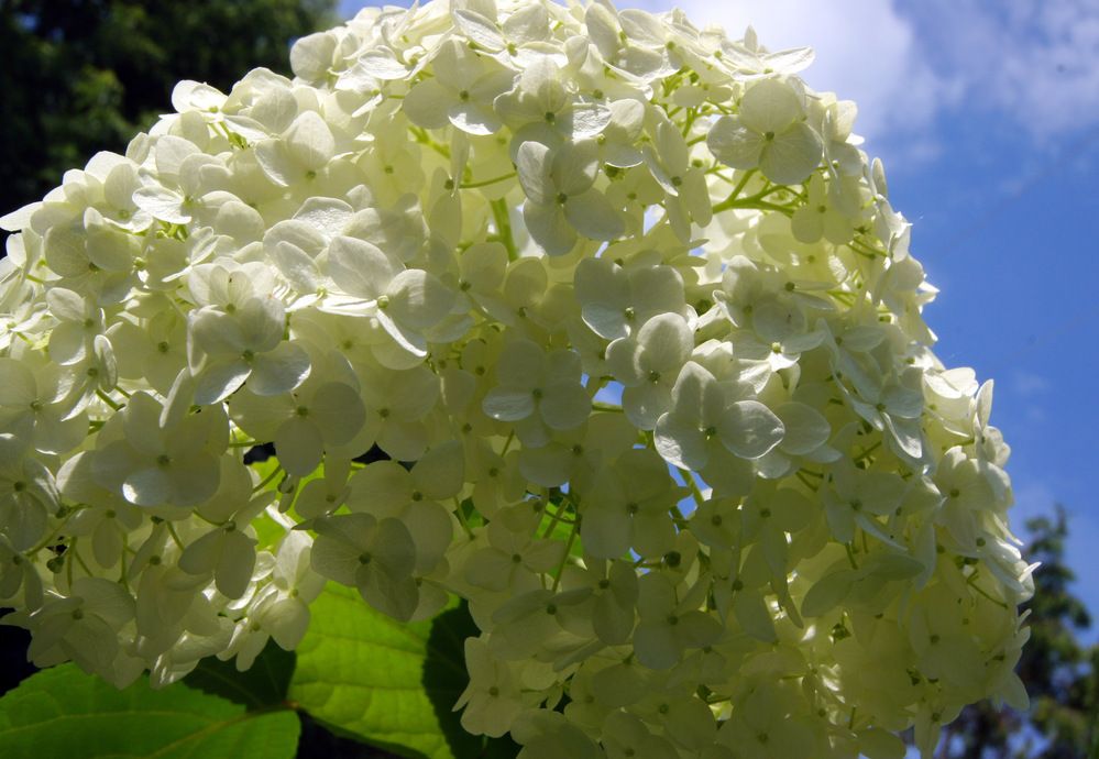 Photograph by Ирина Федичева