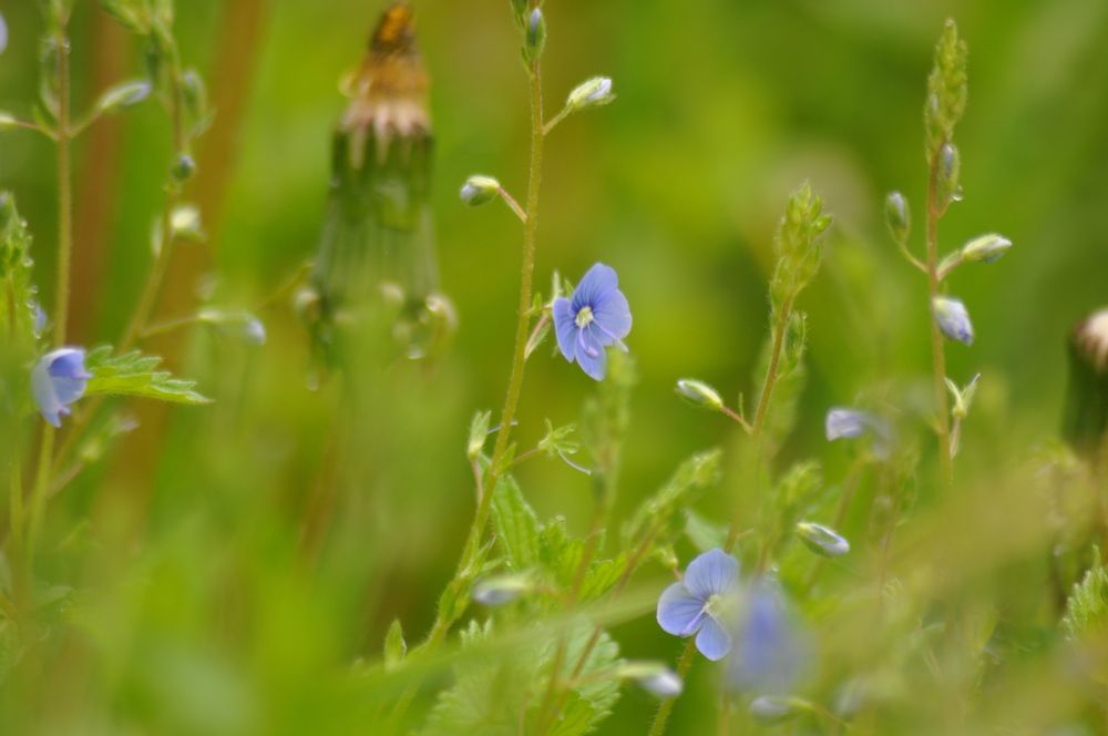 Photograph by Дмитрий Жуков