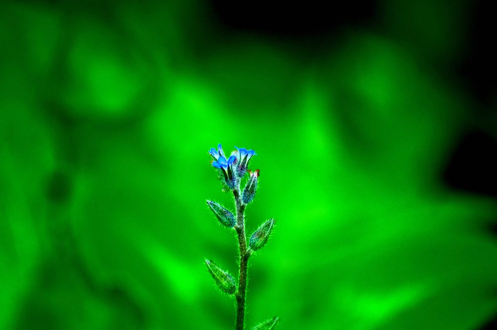 Photograph by Дмитрий Жуков