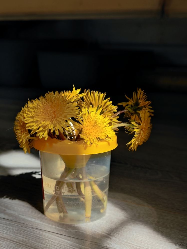 Photograph by Кристина Куликова