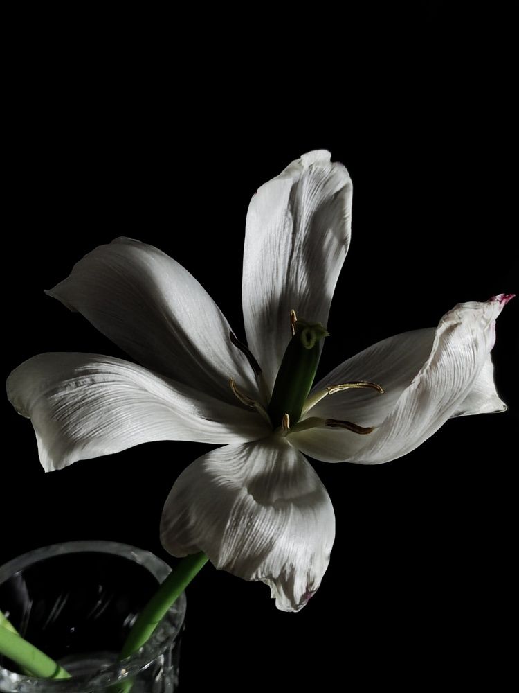 Photograph by Марина