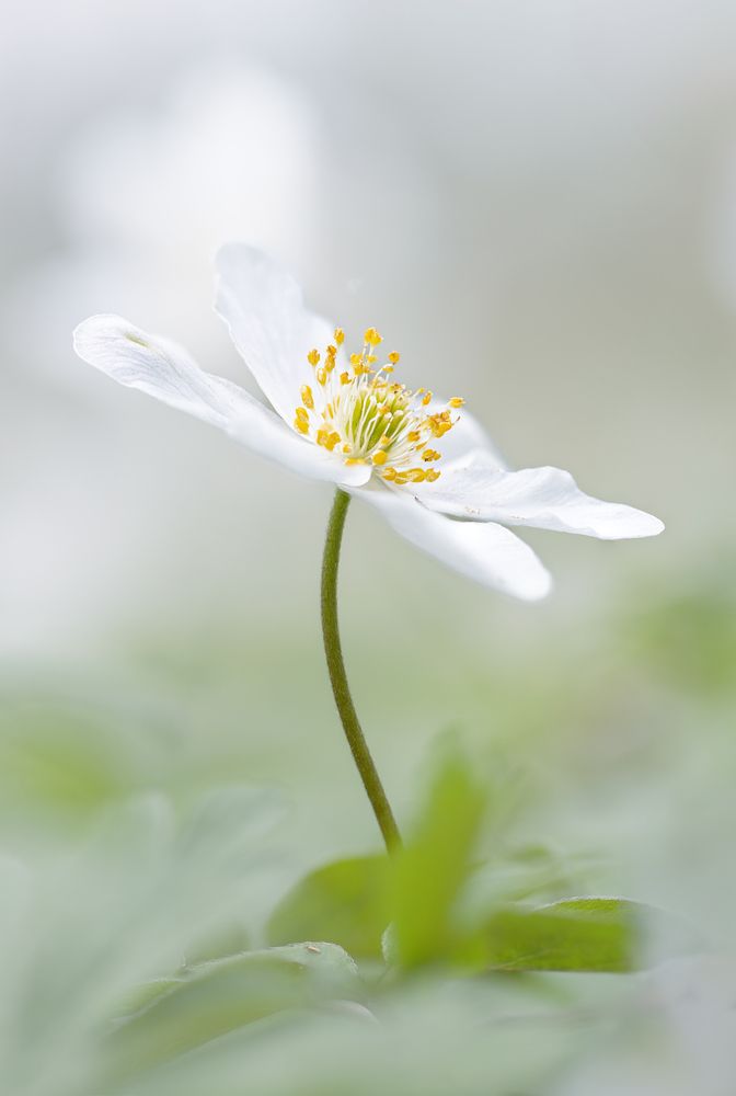 Photograph by Jiří Hakauf