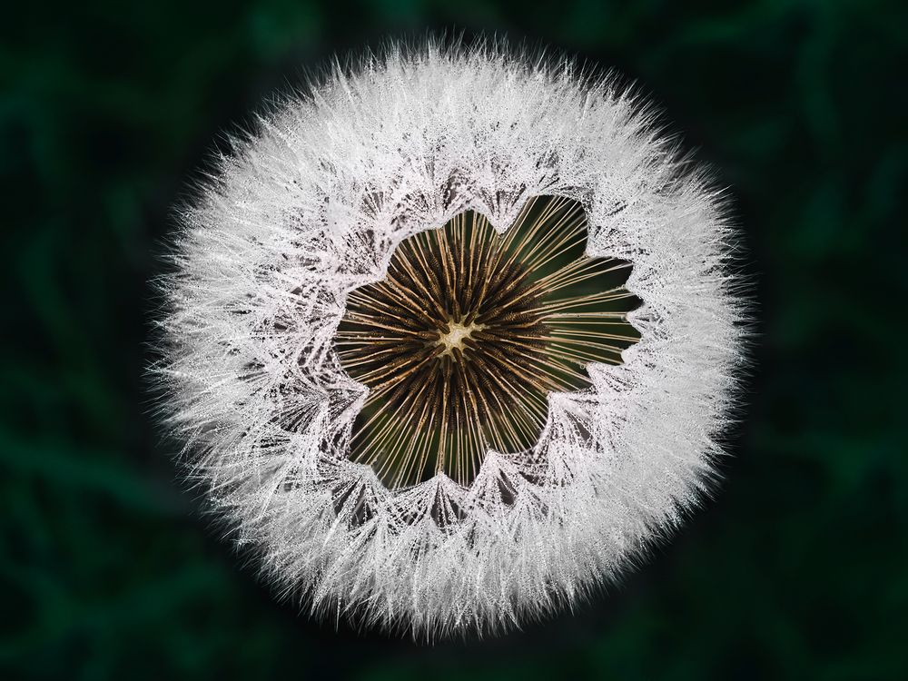 Photograph by Kveta Novotna