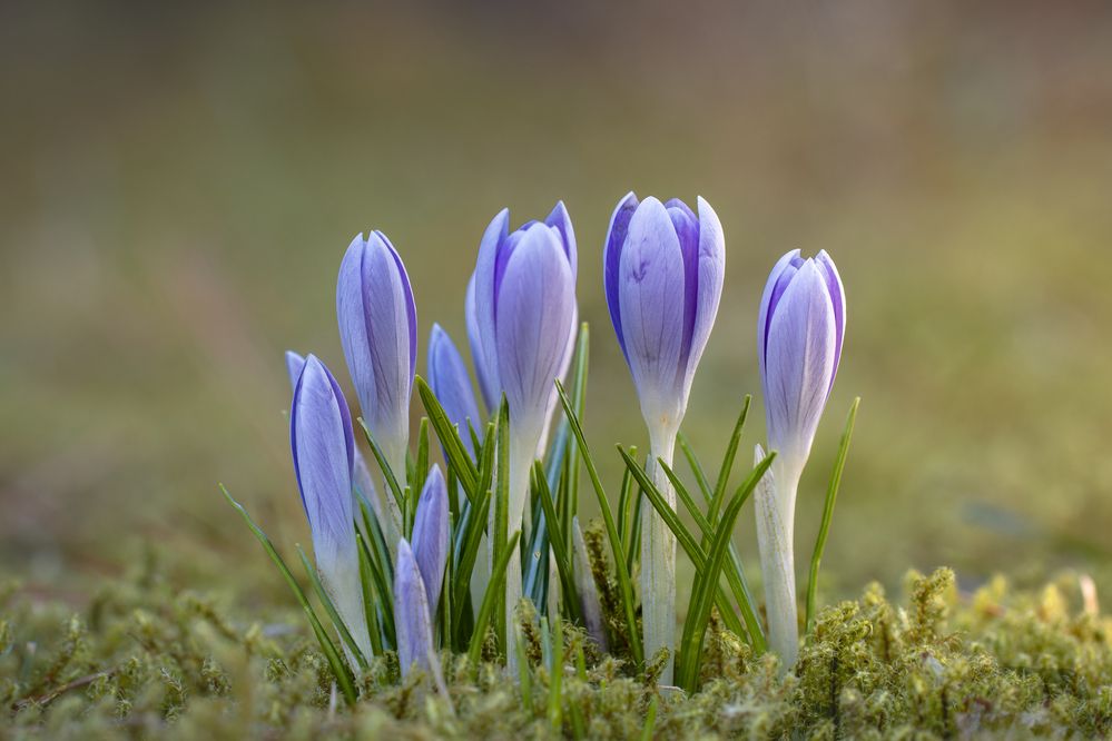 Photograph by Jiří Hakauf