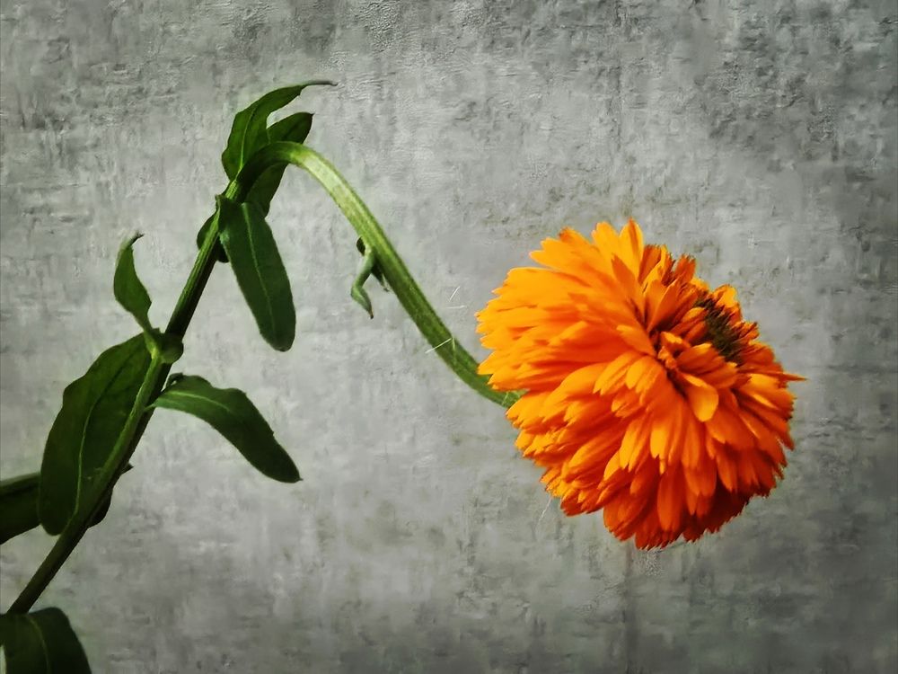 Photograph by Olga Kot