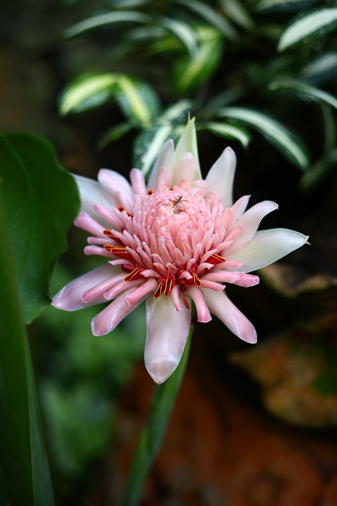 Photograph by Наталья Малышева