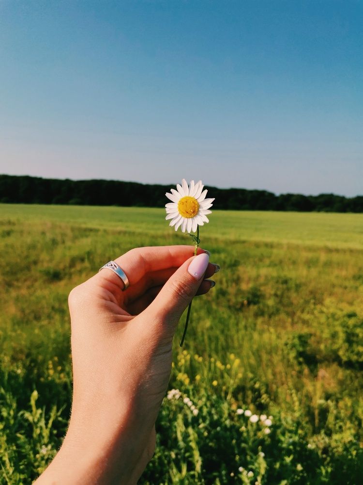 Photograph by Кристина Шацкая