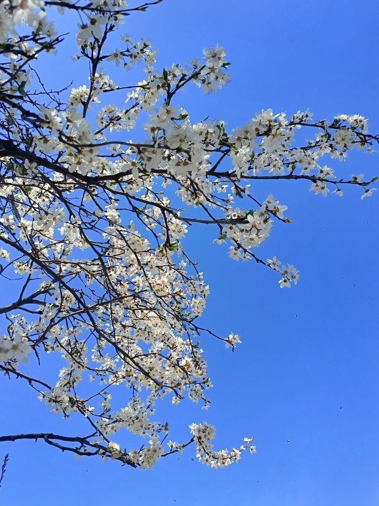 Photograph by Кристина Шацкая