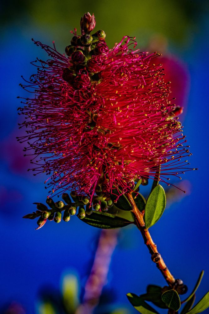 Photograph by Владислав Лопатов