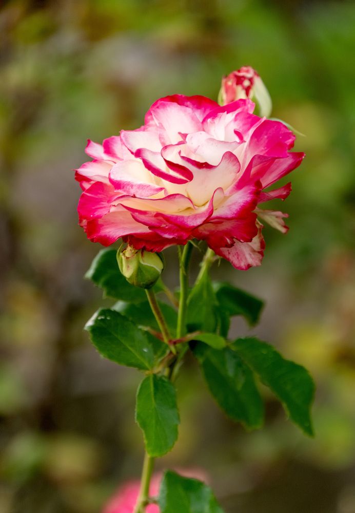 Photograph by Ольга Михайлова