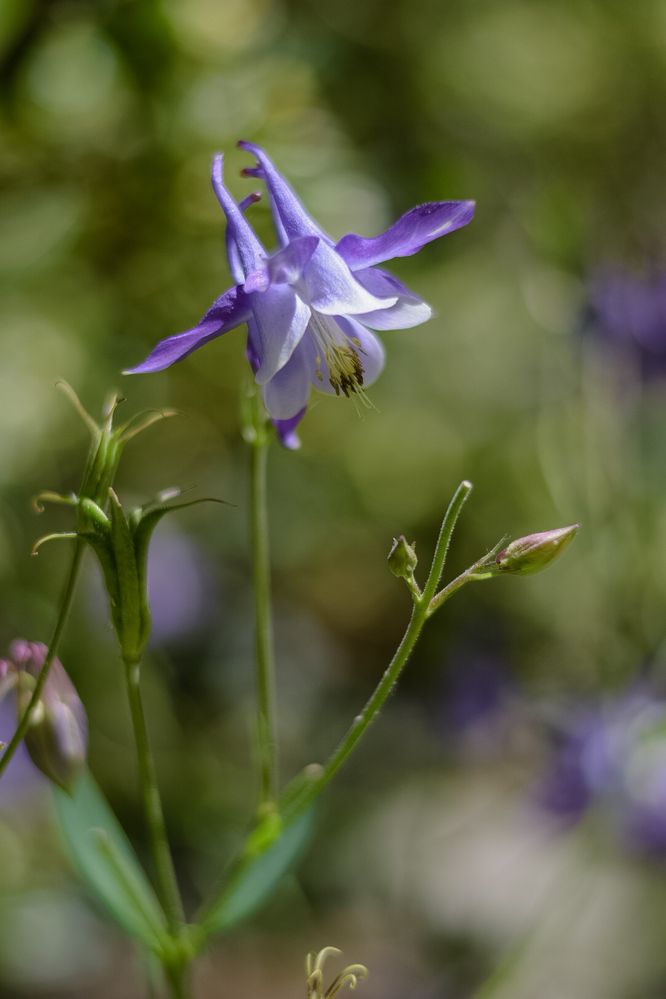 Photograph by Mina Mamdouhi