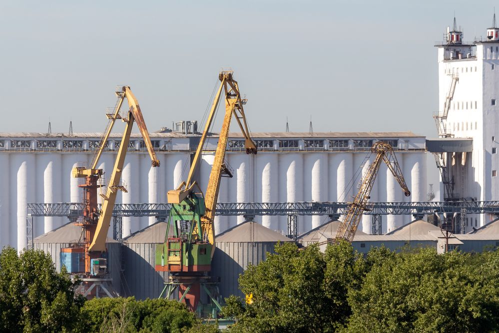 Photograph by Рыков Андрей