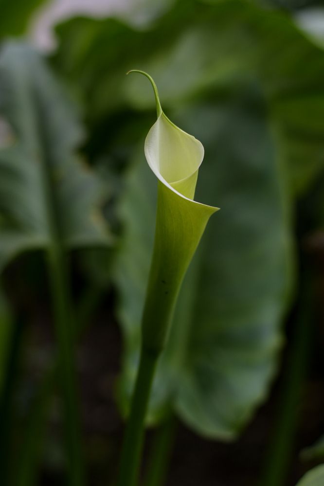 Photograph by Mina Mamdouhi