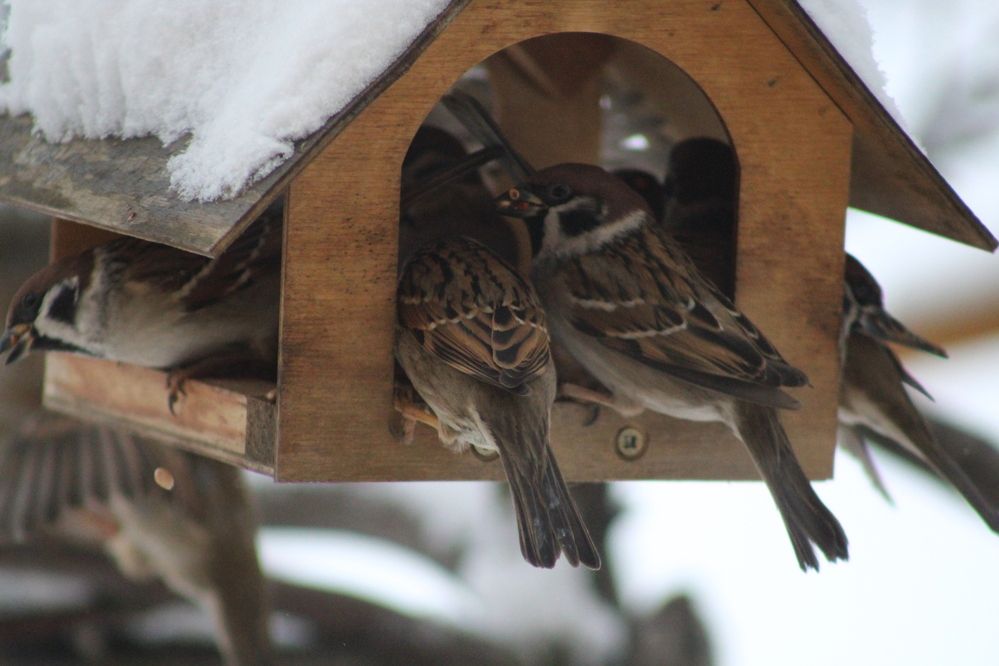 Photograph by Наталия