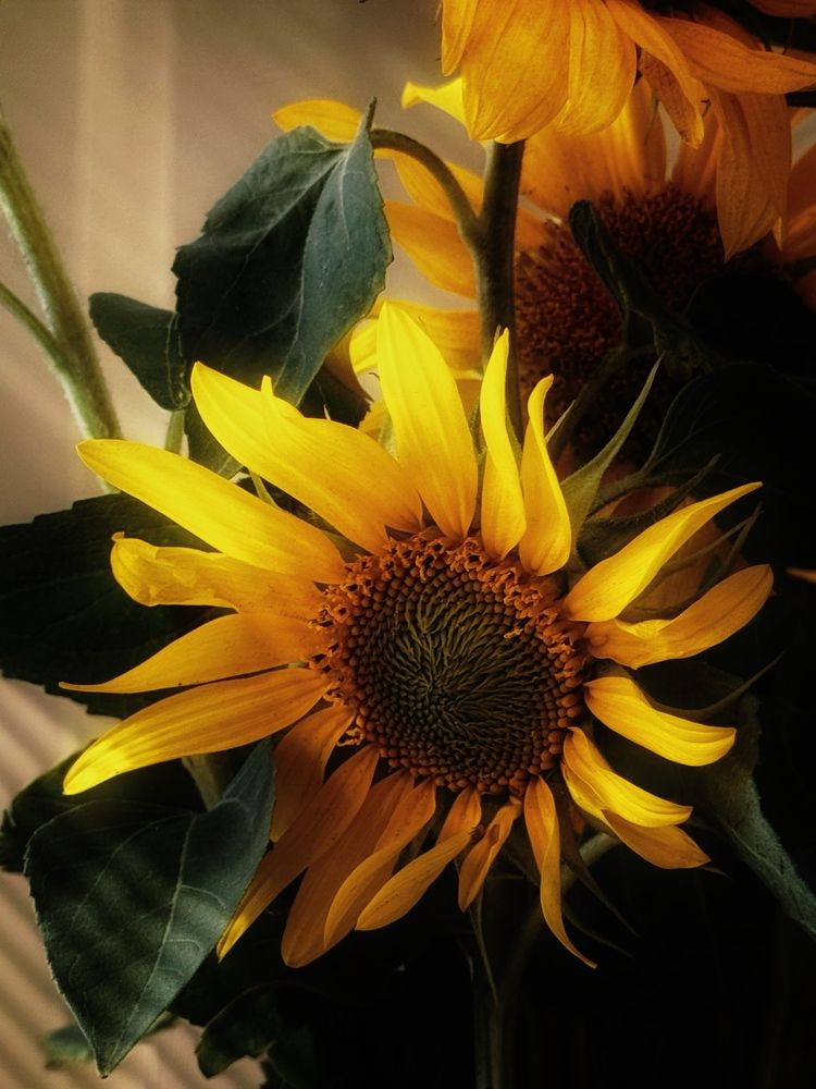 Photograph by Картунова Светлана