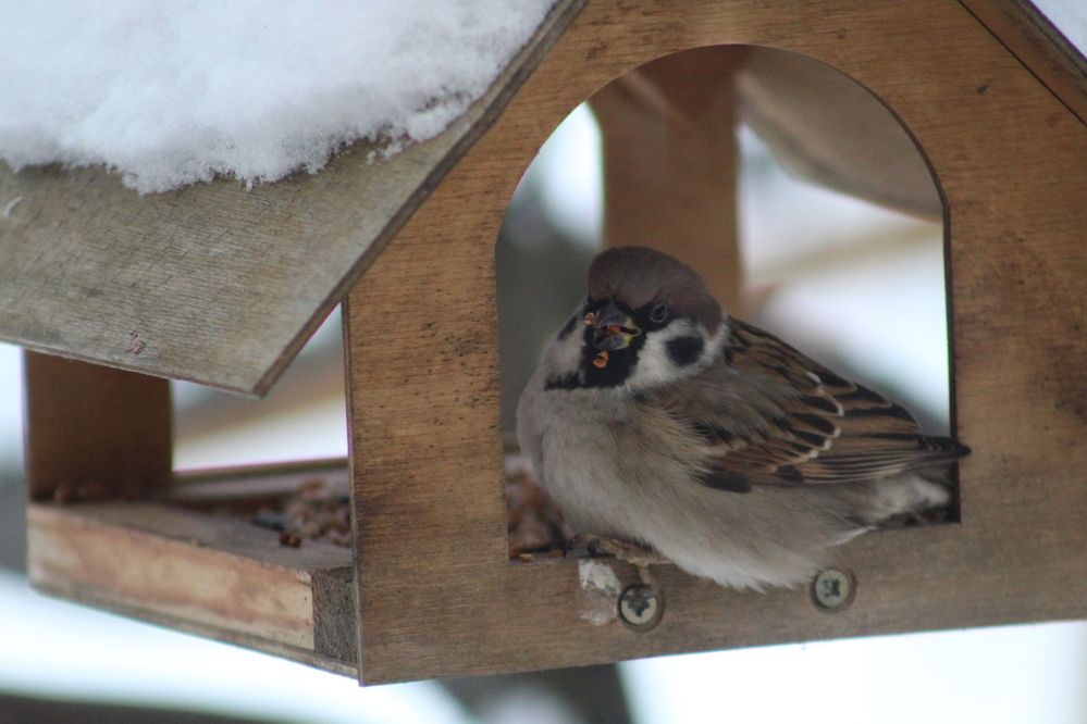 Photograph by Наталия