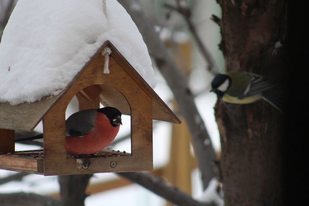 Photograph by Наталия