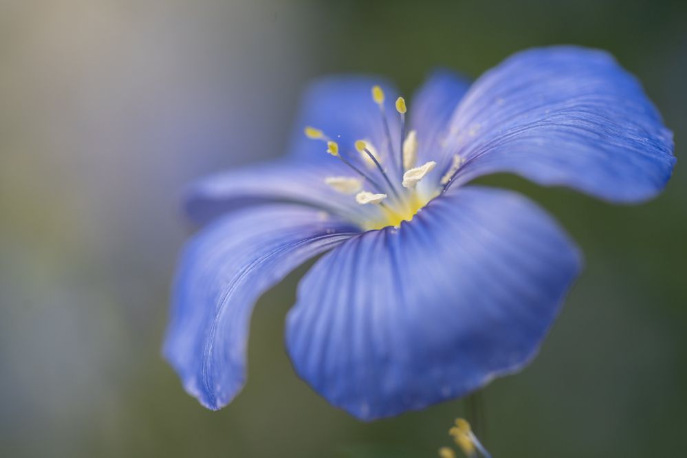 Photograph by Даниил Пузаков