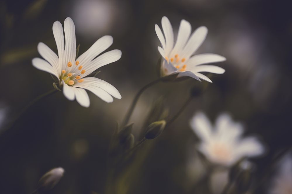 Фотография автора Войнов Дмитрий