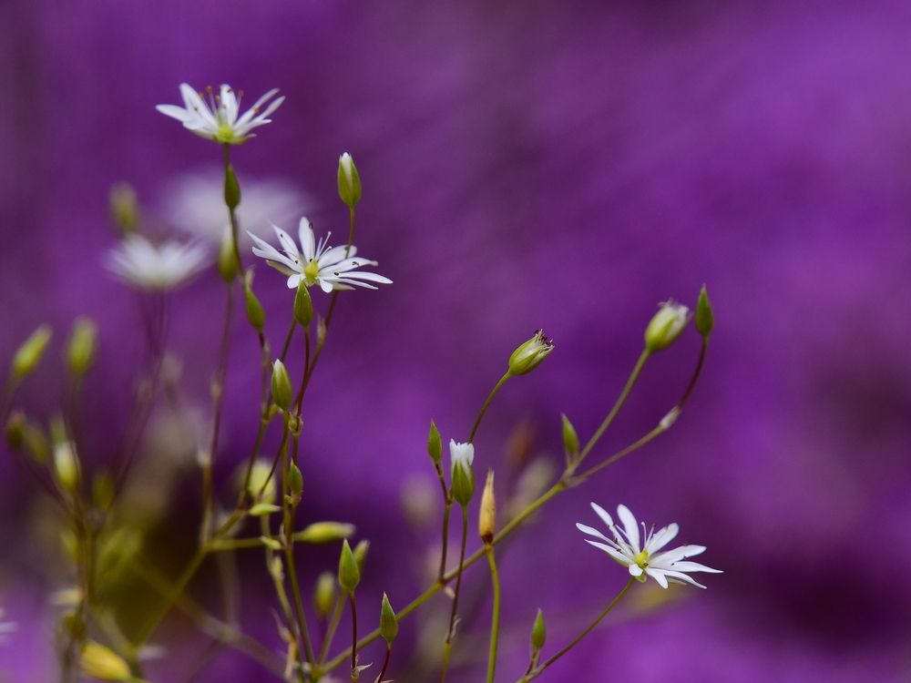 Photograph by Николай Абакумов