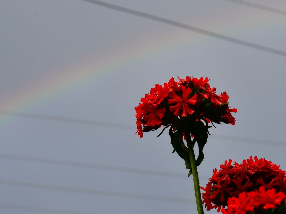 Photograph by Николай Абакумов