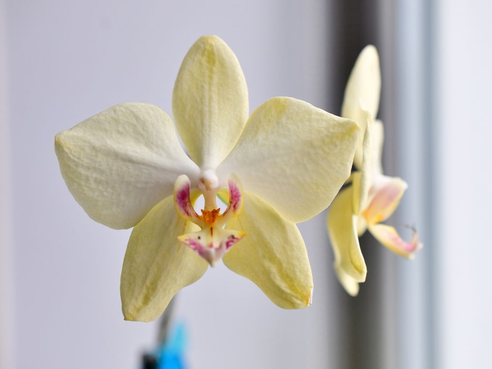 Photograph by Николай Абакумов