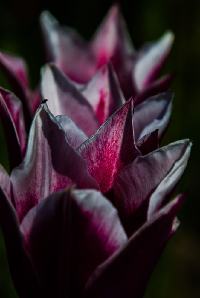 Photograph by Даниил Пузаков