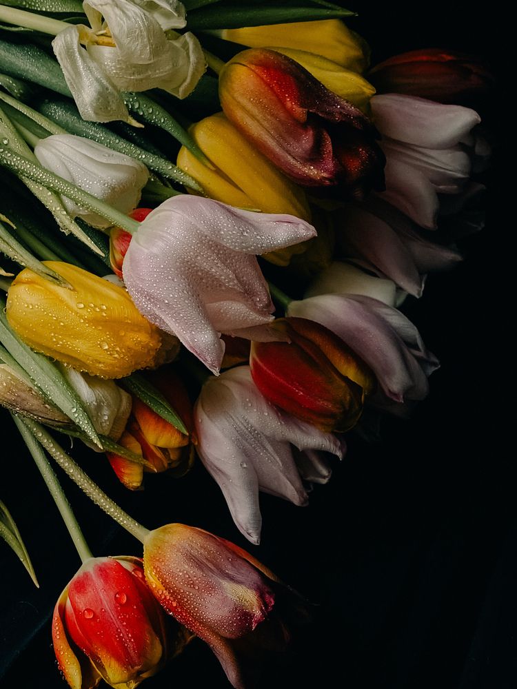 Photograph by Светлана Гошарова