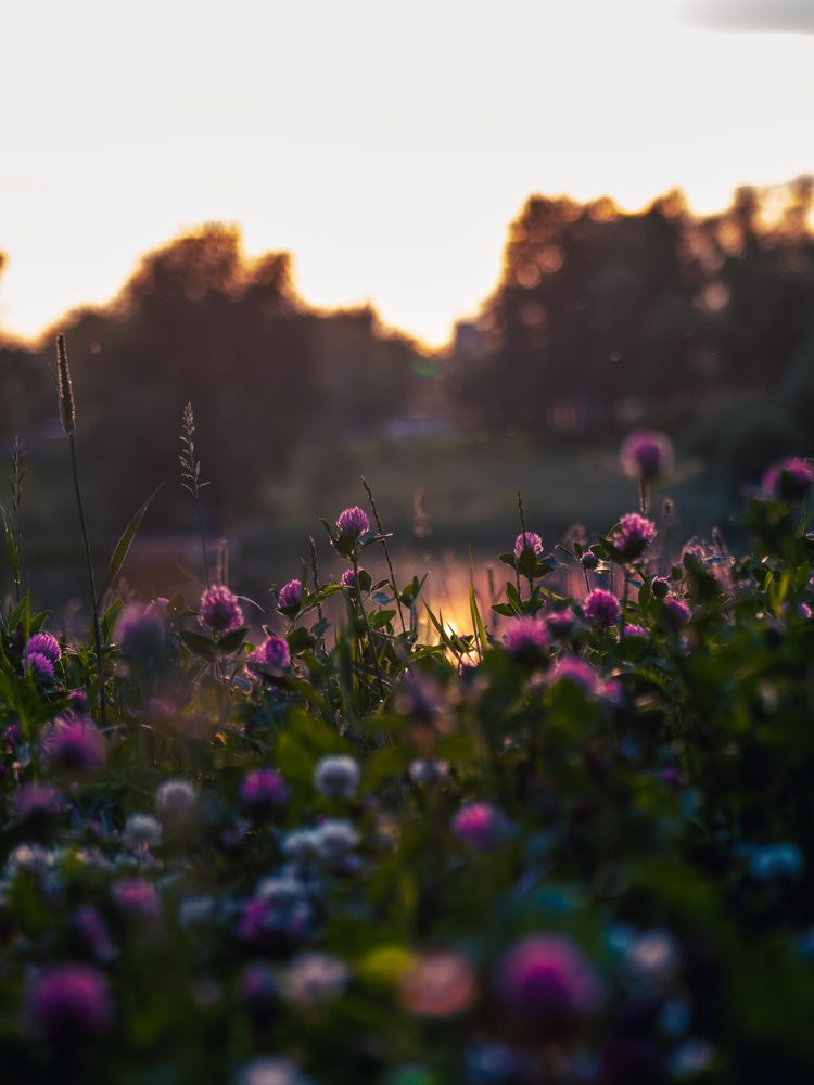 Photograph by Синицын Дмитрий