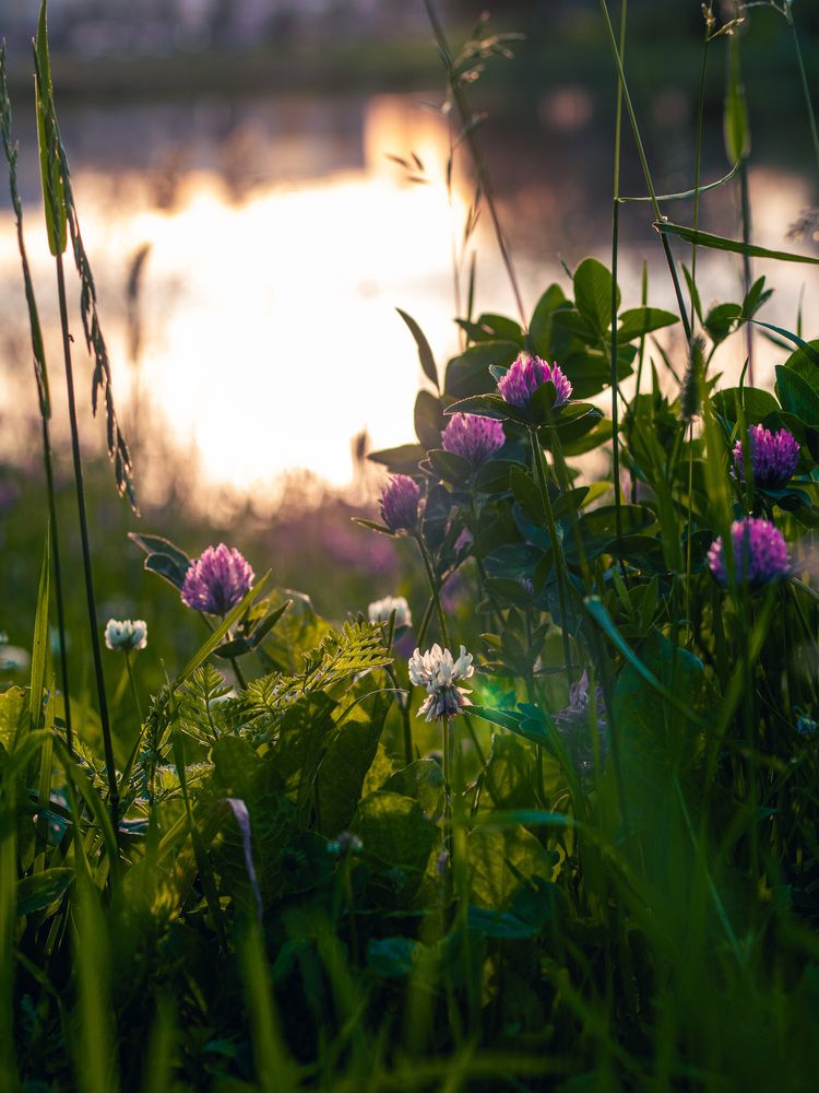 Photograph by Синицын Дмитрий