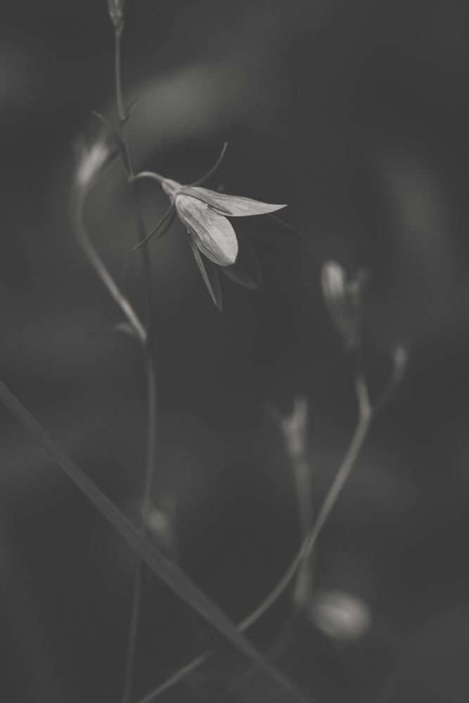 Фотография автора Войнов Дмитрий