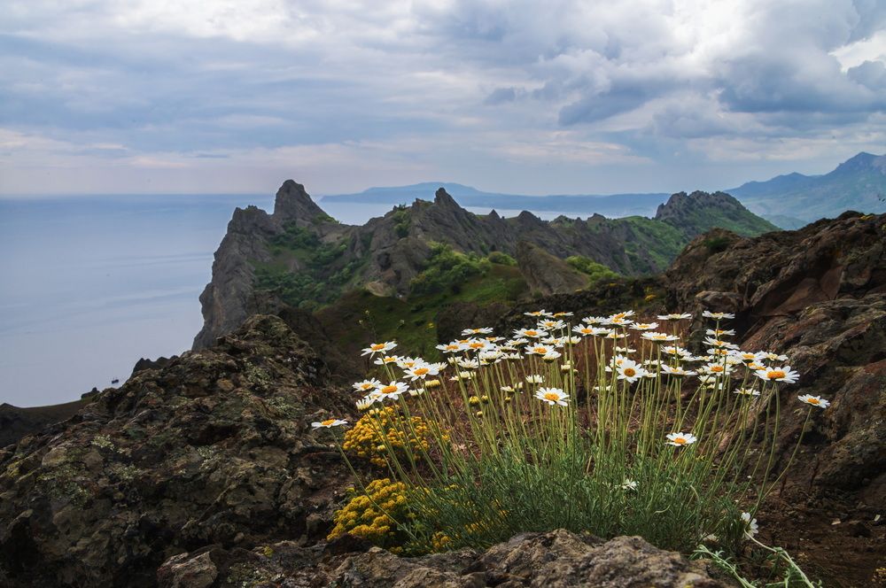 Май на Карадаге.