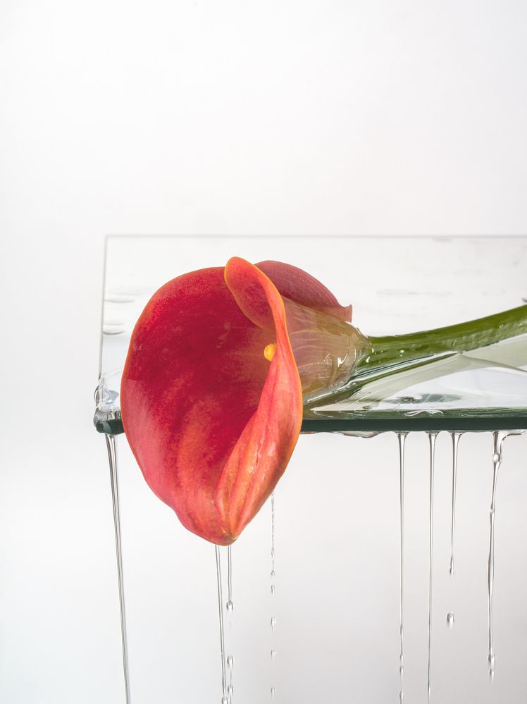 Photograph by Jelena Murina