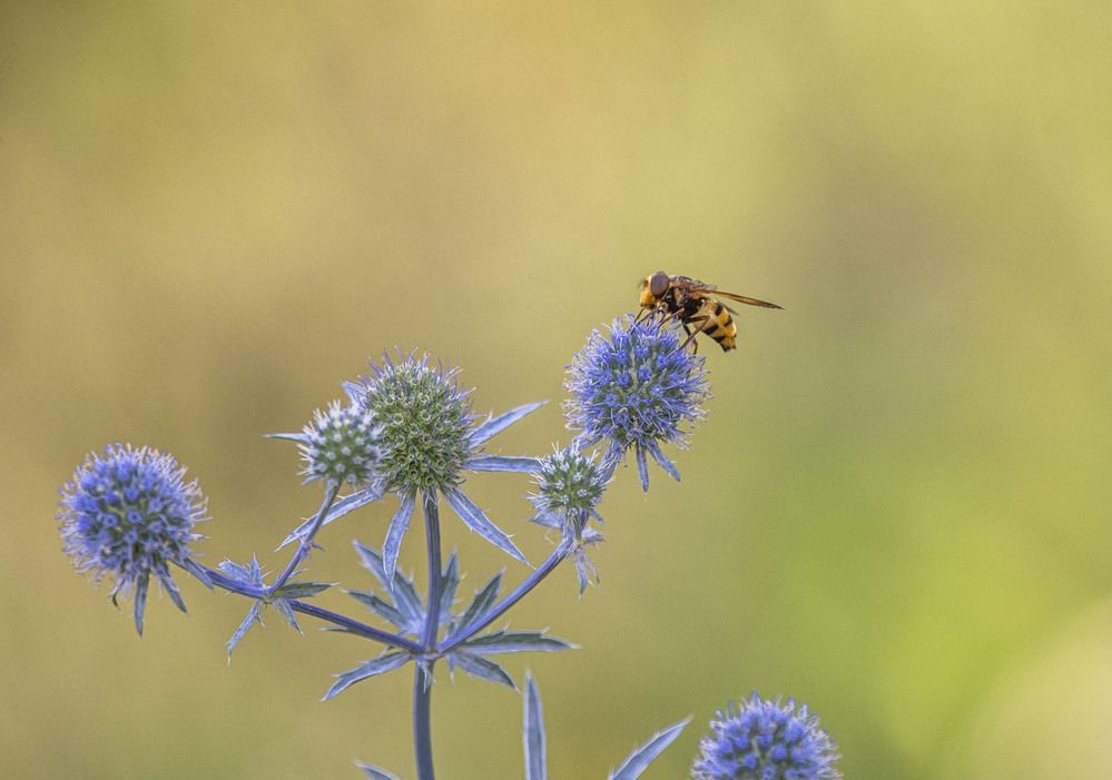 Photograph by Алексей Сиваков
