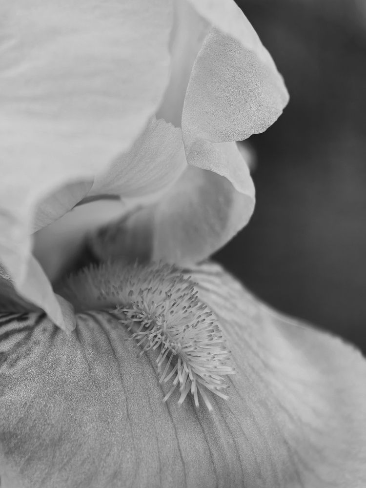 Photograph by Наталья Жуковская