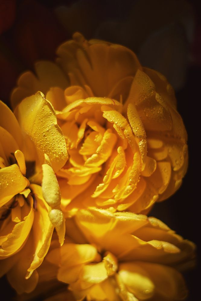 Photograph by Валерий Зенович