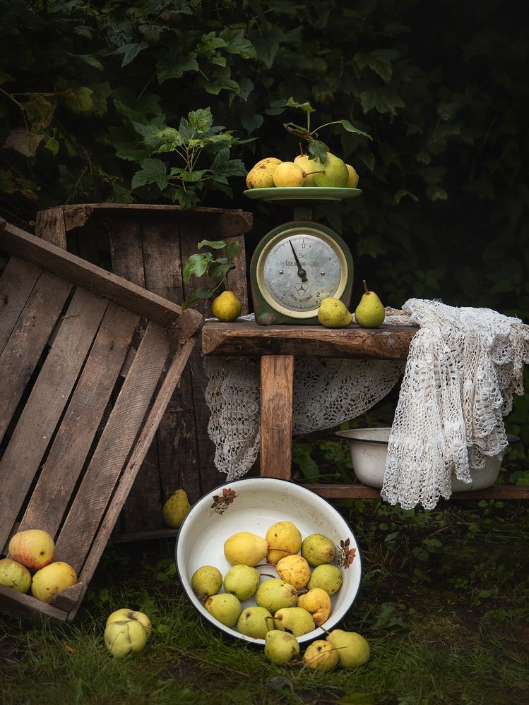 Photograph by Юлия Борт