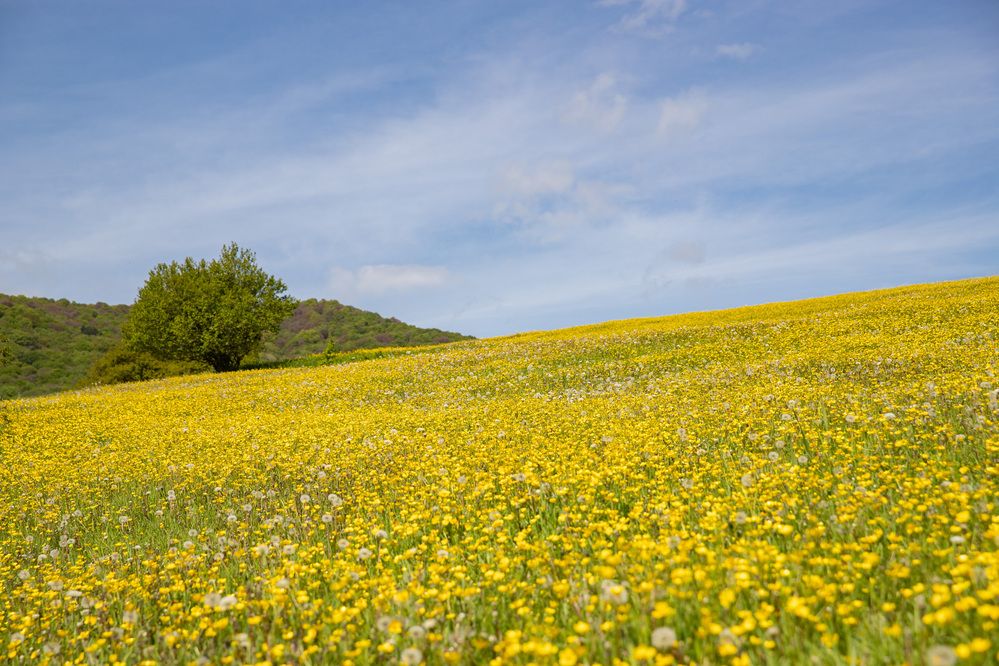Photograph by Александр Парфенов