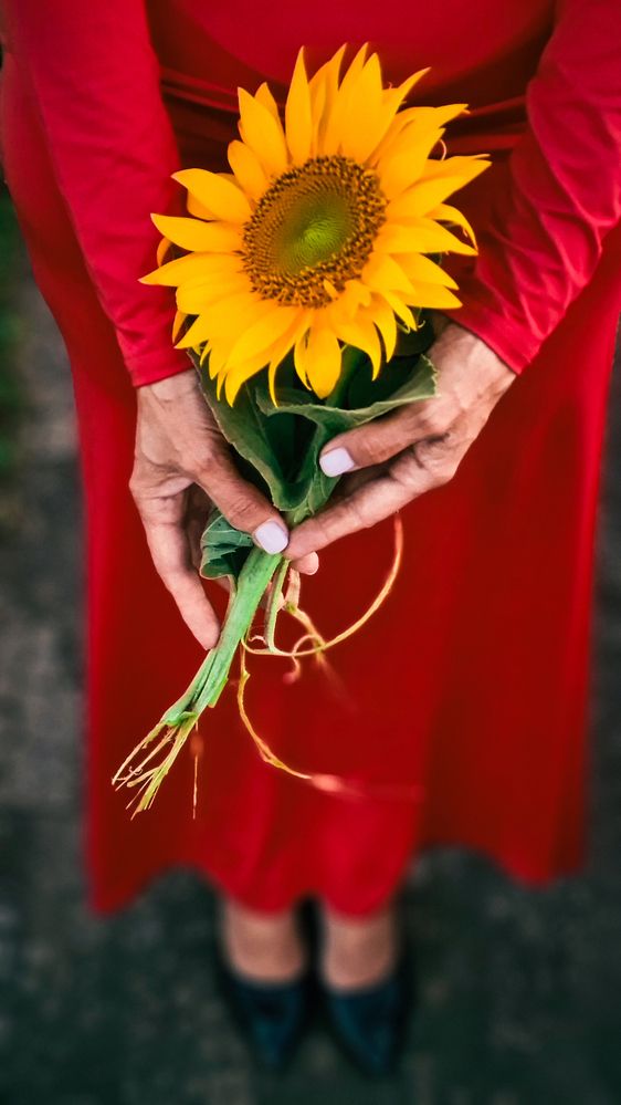 Photograph by Елена Гунько