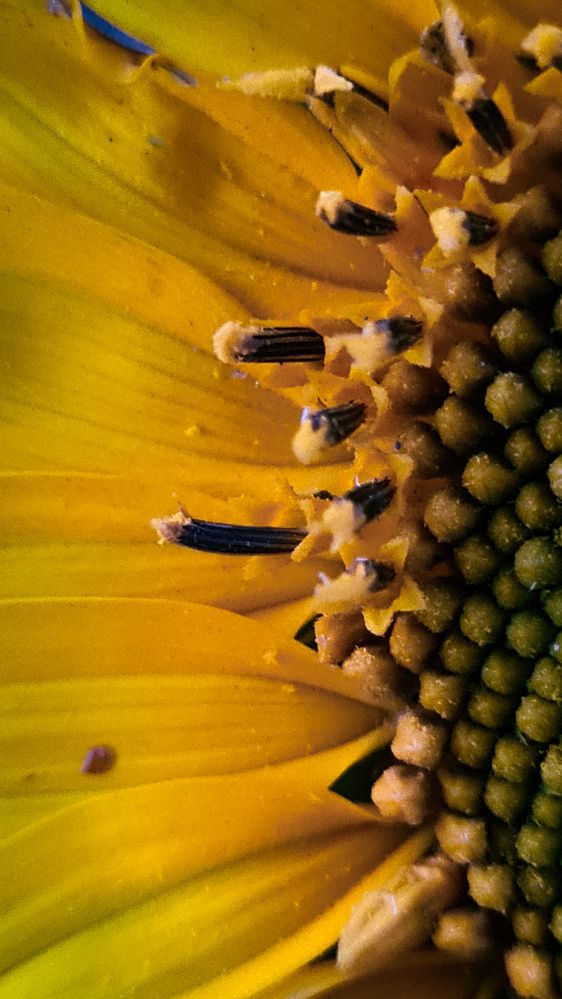 Photograph by Елена Гунько