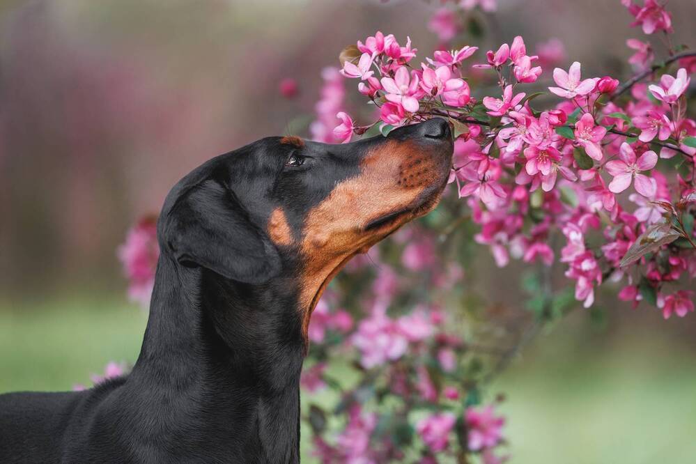 Photograph by Яна Нарбутович