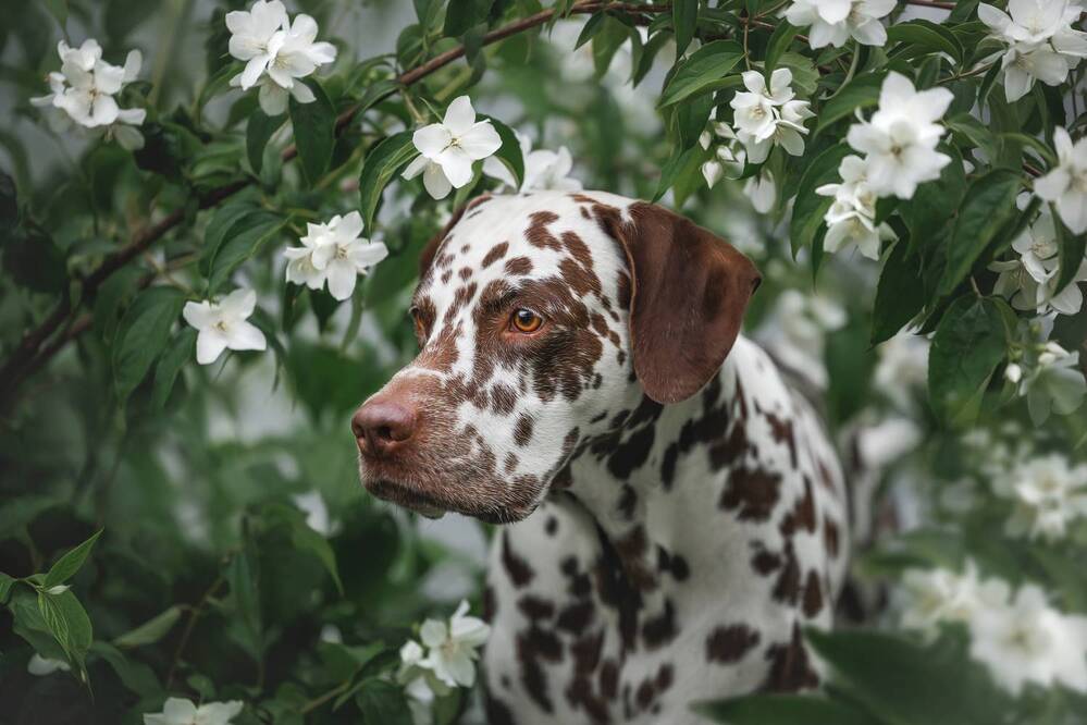 Photograph by Яна Нарбутович