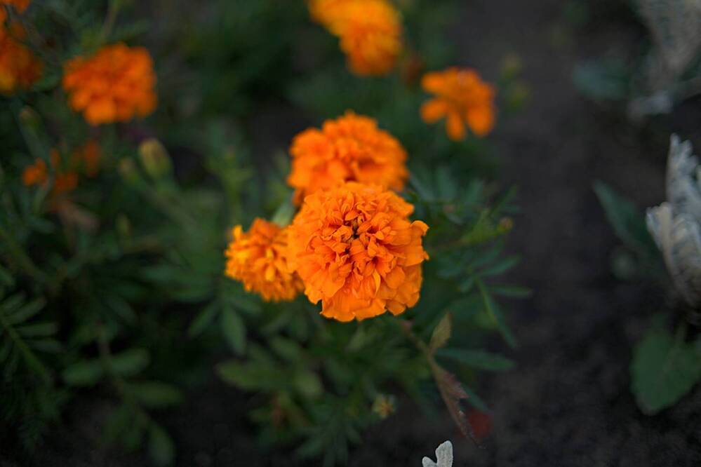 Photograph by Виктория Иорданова