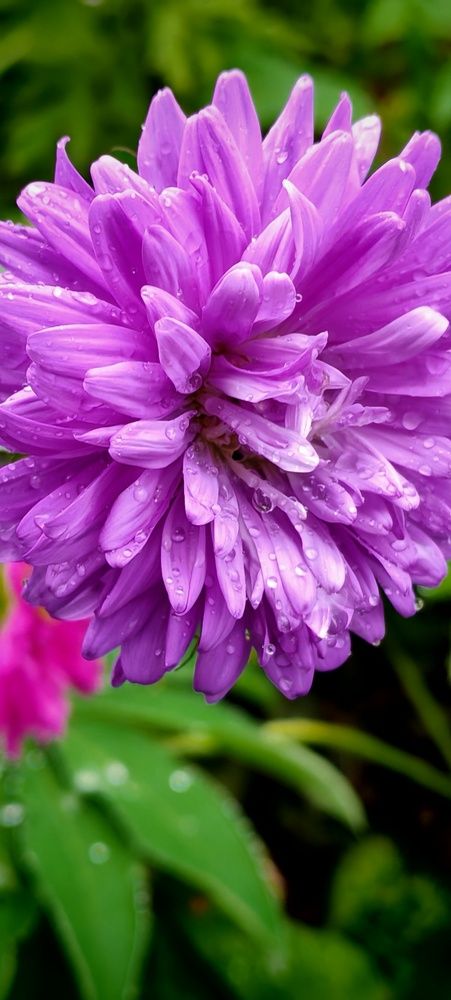 Photograph by Виктория Иорданова