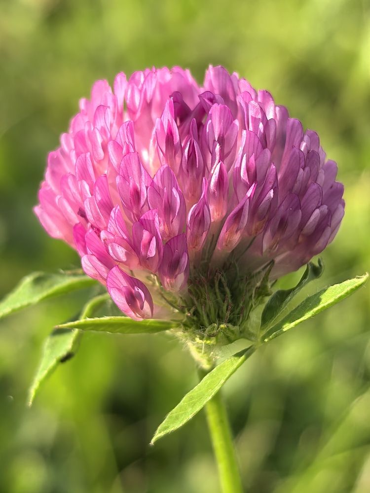 Photograph by Елена Качалина